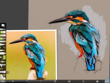 Kingfisher Screenshot 2 by Shelly Hanna